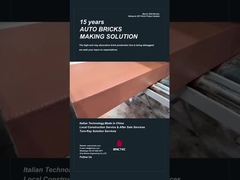 Brictec-Produktionslinie für Dekorationsziegel